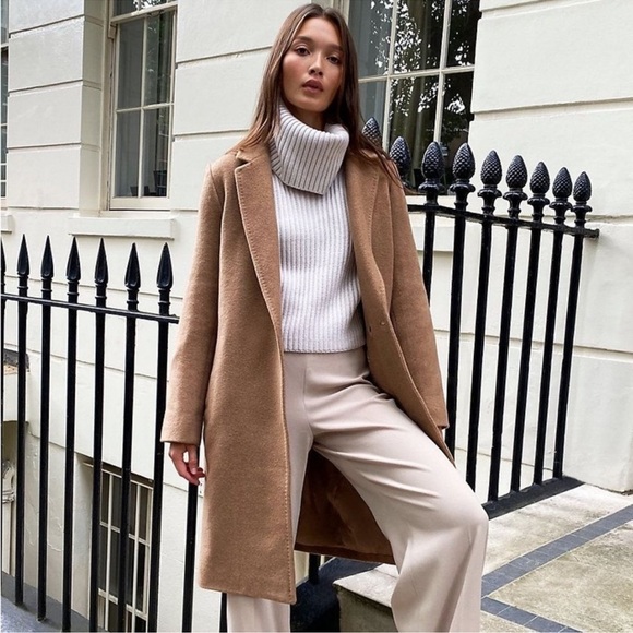 Aritzia Jackets & Blazers - Aritzia The Stedman Coat